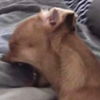 _jinfinite's profile picture. When boredom strikes I’m on here.