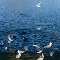 TB (@drtahirrasool) 's Twitter Profile