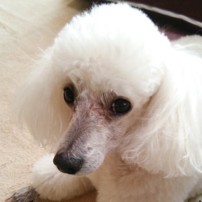 kabu_engineer's profile picture. 株主優待とバイクをこよなく愛する発電エンジニア。桐谷さんに憧れ，優待株を中心に投資中。株主優待を中心に呟きます。職場の人の影響でブログも開始。2023年FP2級取得。趣味は優待の使用，バイク，野球，ゲーム。