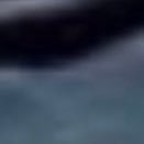 heartofIynch's profile picture. #LYNCH (fan account)