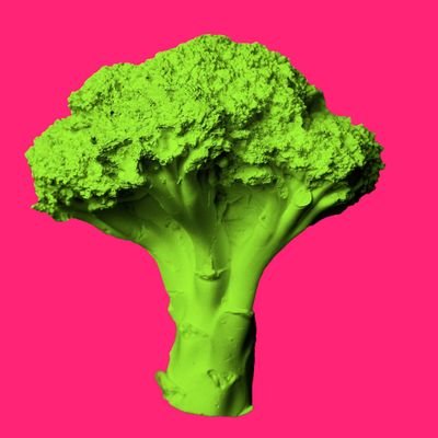 Broccoli factory aims to build green bridges between the traditional & digital art scene. Join our community through tasty Broccoli #NFT |