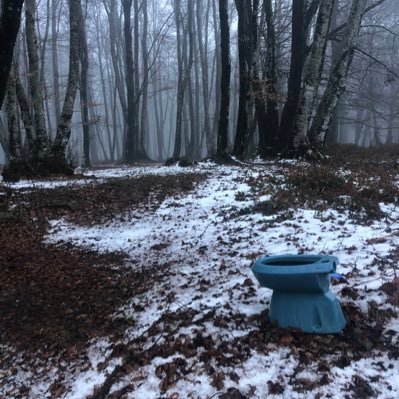 silviaviceconte's profile picture. Avvocato