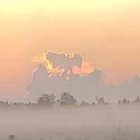 Tara Souther (@souther_tara) 's Twitter Profile Photo