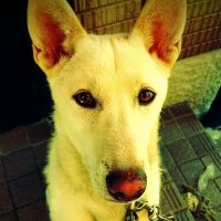 あきおとん (@takaaki_mn) 's Twitter Profile