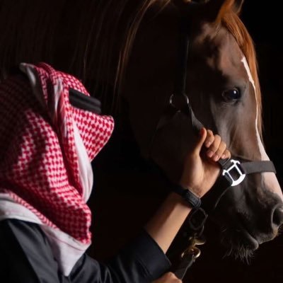 SeNa_412200's profile picture. عبق ، أدب ، أسواق مال