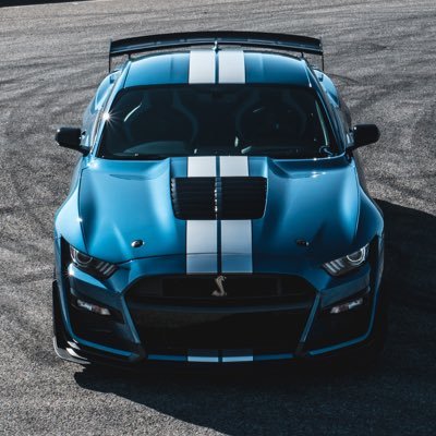 2020 Shelby Mustang GT500 🤘 Content owned by https://t.co/ip3DB0sHeJ