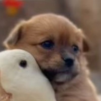 carly_zilavy's profile picture. 