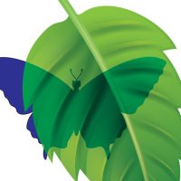 Geo Transparency (@geotransparency) Twitter profile photo