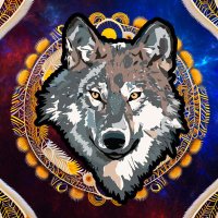 Moonblood84 (@moonblood84) 's Twitter Profile