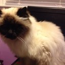 Amanda Schaller - @tinkchix - Twitter