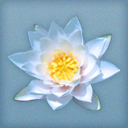 budismomoderno's profile picture. Budismo moderno: El camino de la compasión y la sabiduría
eBook gratis, descaga el libro Budismo Moderno para tu iPhone, iPad, Kindle, y muchos más