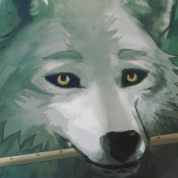 gray wolf (@sylidar) 's Twitter Profile Photo gray wolf (@sylidar) 's Twitter Profile Photo
