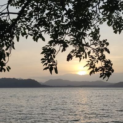 Brandonxakalito's profile picture. 