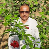 Manohar Lal (@manohar45225546) 's Twitter Profile