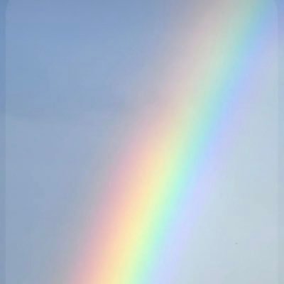 rihsey's profile picture. Likes / retweets != endorsements