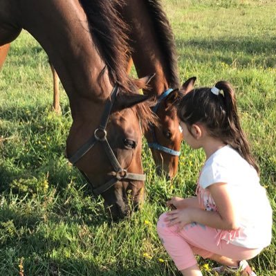 Bilgisayar Mühendisi & At Sahibi ve Yetiştiricisi & Beşiktaş Taraftarı 🐎 👩‍🦰 👉