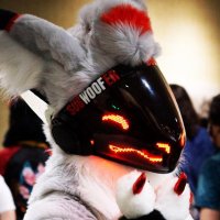Bandit Wusky (@banditwusky) 's Twitter Profile