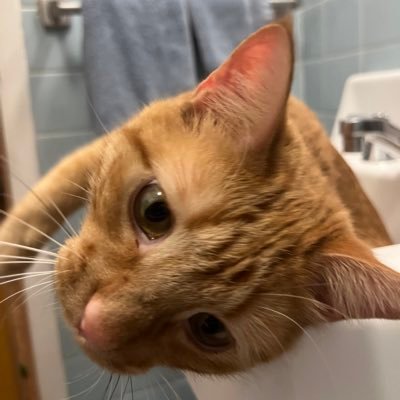 mabez25's profile picture. 