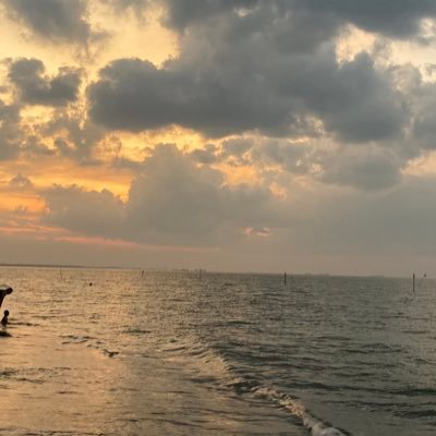 manusiakoya's profile picture. 