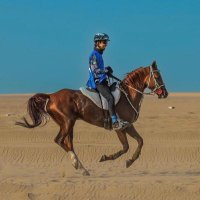 عبدالرحمن علي الحطاب (@a_alhttab) 's Twitter Profile Photo عبدالرحمن علي الحطاب (@a_alhttab) 's Twitter Profile Photo