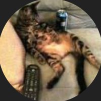 Swato (@swatomato) Twitter profile photo