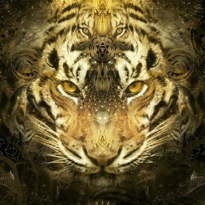 Phiyaboi's profile picture. 