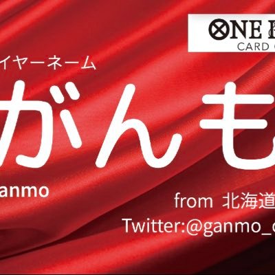 ワンピースカードゲームどハマり☺️常にワンピースカードのことだけを考える30代🧐ディスコード対戦環境整ってます。🎶 2023宮城cs完走7-2 86位