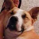 Collin Hansen - @CollinHans96251 - Twitter