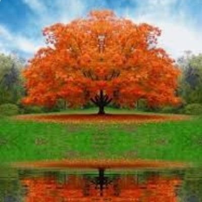 AndieA683282's profile picture. God is with me