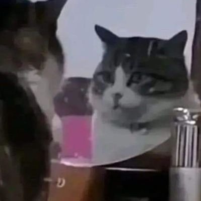 Introvertido310's profile picture. Simplemente una persona más.