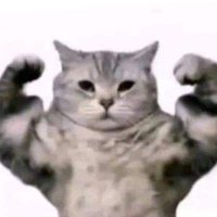 앵고 (@anglelover_) 's Twitter Profile