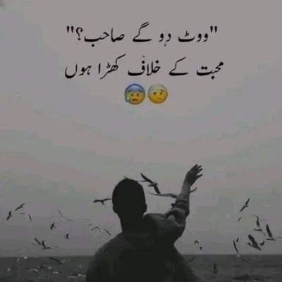 بس وہاں سے دُکھ نہ ملے، جہاں سُکھ لٹایا ہو💚🥀