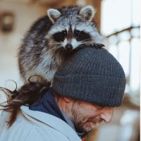 Andreas Vorrath (@einfach_der) 's Twitter Profile Photo Andreas Vorrath (@einfach_der) 's Twitter Profile Photo