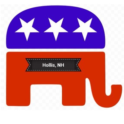 HollisGOP Profile Picture