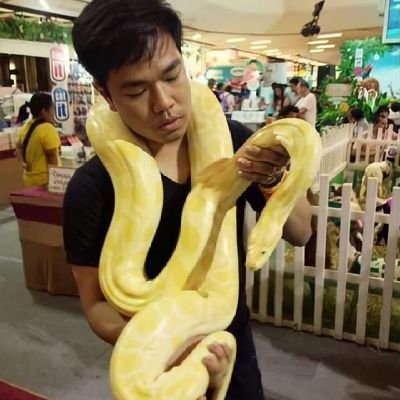 SigelTyr's profile picture. TPY'39/SSEAYP'2012 | WFYS'2017