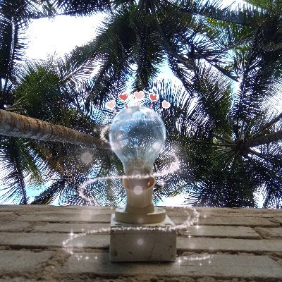 satyas49's profile picture. 