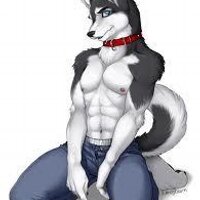 Ryan Locey - @Furrylover123 Twitter Profile Photo