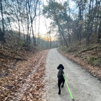 mekdes holesinger (@_mekdes_) 's Twitter Profile