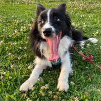 メリー&レイ (@reme_5522) Twitter profile photo