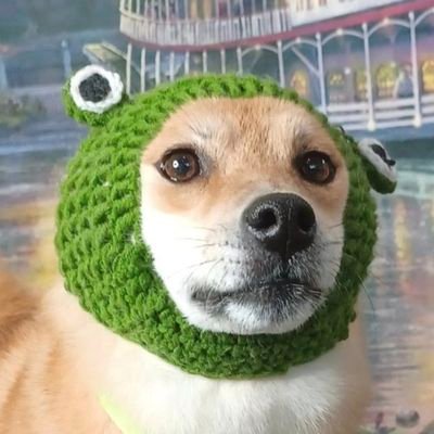 She/they | Lezbro software developer | None gender left girl | @snapbackcosplay | 30+ | icon by @renblakely