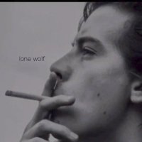 lone wolf(@p8040) 's Twitter Profile Photo