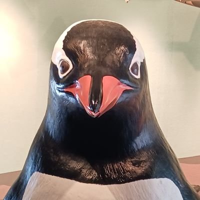 kousenseifire's profile picture. 2025.6更新｜投資と健康は自己責任｜30代高専卒技術系｜電験三種とビル管所持｜妻と子２人｜資産900万円｜日常生活に儲けのヒント連想ゲームで上昇前に仕込み｜STEPN歴4年0ヶ月10万円回収中