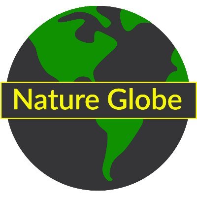 NatureGlobeCom Profile Picture