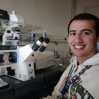 José Teles Reis (@josetelesreis) 's Twitter Profile