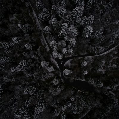 myself_dhruv_'s profile picture. राष्ट्र सर्वप्रथम 🇮🇳 सनातन धर्म:🕉️