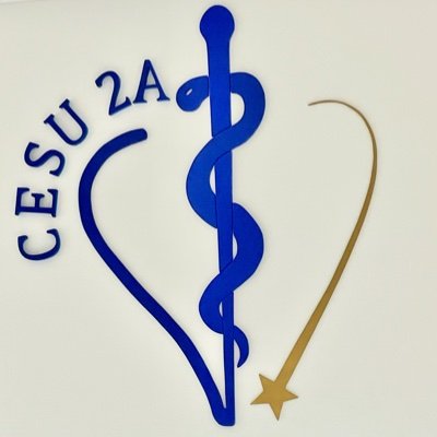 Cesu2A's profile picture. Organisme de formation et centre de simulation en santé, notre vocation est de former les professionnels de santé aux soins d'urgence.
