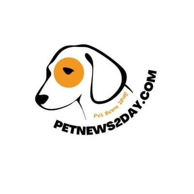 Keeping you paw-sitively updated with the latest in pet care, training, and pet-friendly adventures! Daily news, tips, and furry fun from Pet News 2Day.