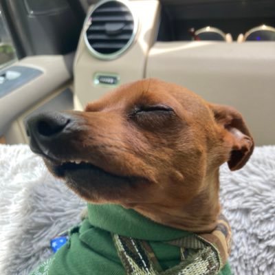 メーアさんのプロフィール画像