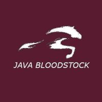 Java Bloodstock(@JavaBloodstock) 's Twitter Profile Photo