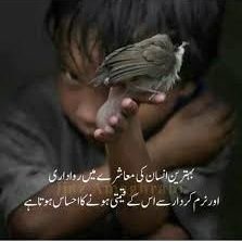 sa5409039's profile picture. 